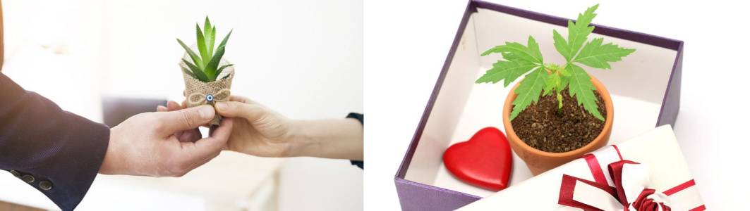 Gifting Solutions