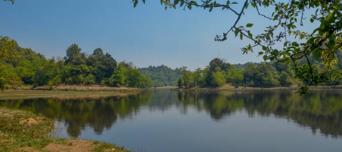Bio Remediation of Water Bodies