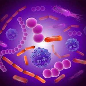 Aerobic Bioculture