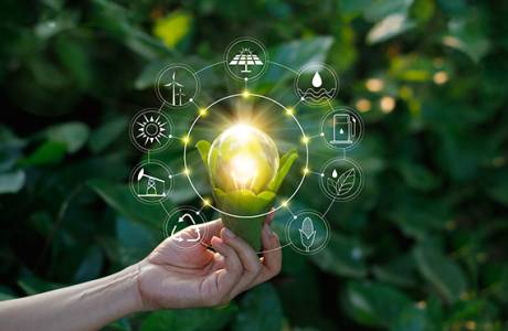 Bioremediation