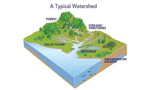 Rain Water Filtration & Recharge Systems