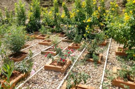 Sewage Treatment Plant (STP)