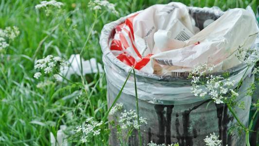 Solid waste management