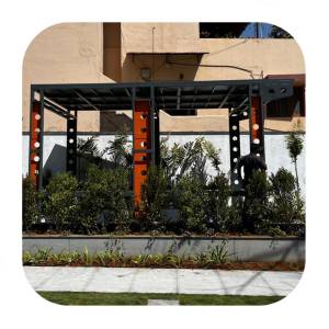 Canopy Car Lifts