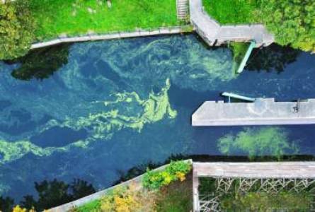 Waste Water Treatment
