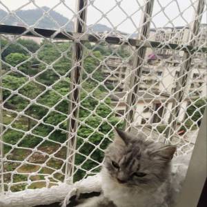 Pets Safety Nets