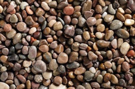 Filter Media And Carbons