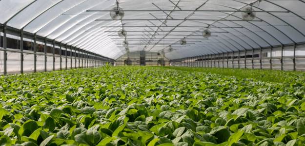HI Tech Green House  Equipment