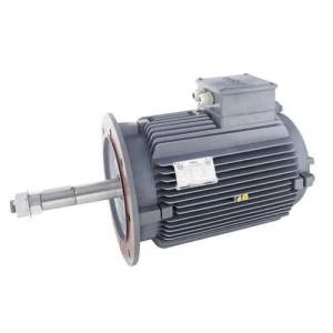 Cooling Tower Electric Motor