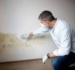 Mould Side Wall