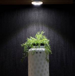 Cabinet Light