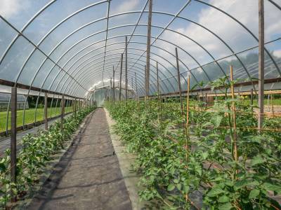 Compact Polycarbonate Sheet