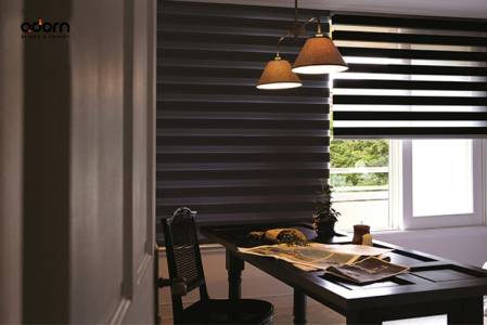 ZEBRA BLINDS