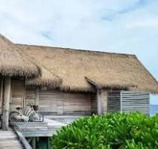 Synthetic thatch roof