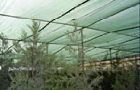 SHADE NET