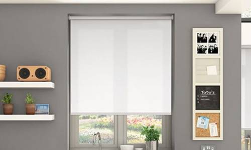 Roller Blind Plain