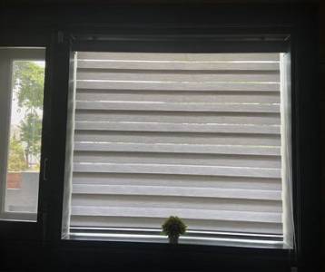 Window Blinds