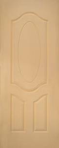 Skin Doors