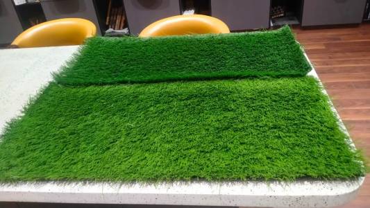 Artificial Grass