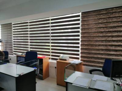 Zebra blinds for windows