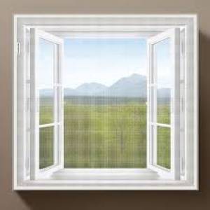 Polyester window net