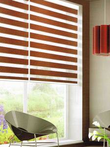 Window Blind