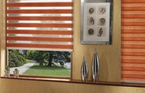 ZEBRA BLIND