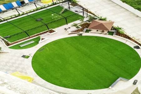 Artificial Grass