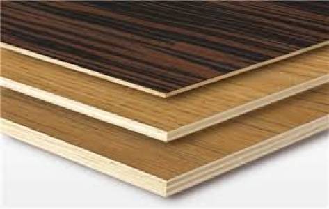 Veener Moulded Panel Doors