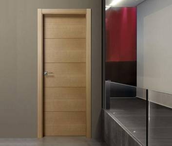 Flush Door
