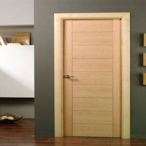 PVC DOOR