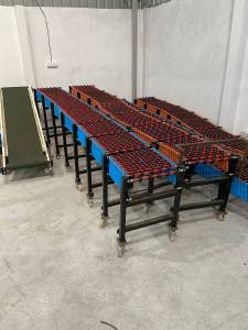 Logistics Conveyors
