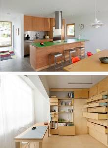 BWR GRADE PLYWOOD