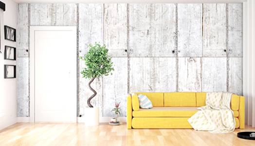 FRP DOOR