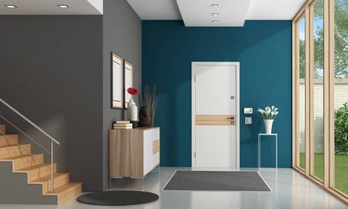 Flush Door