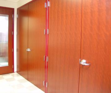 Flush Door