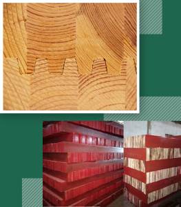 Laminated Veneer Lumber