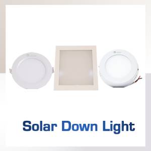 Solar Down Light