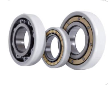 Current Insulated Bearings