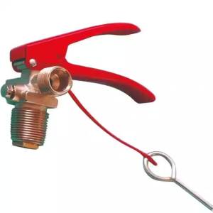 Fire Extinguisher Valve For Industrial