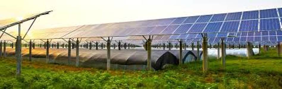 Agricultural Solar