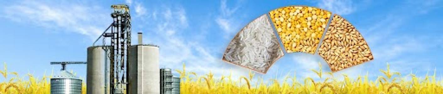 GRAIN MILLING SOLUTIONS