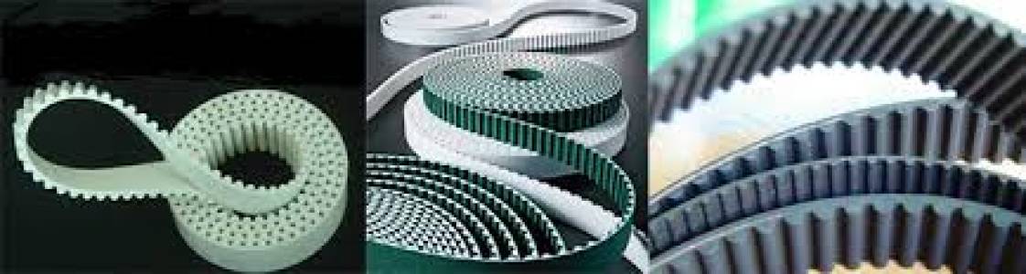 Timing Belts