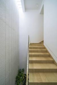 Natural Illumination