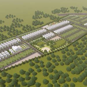 MAHAVEER BOUGAINVILLEA