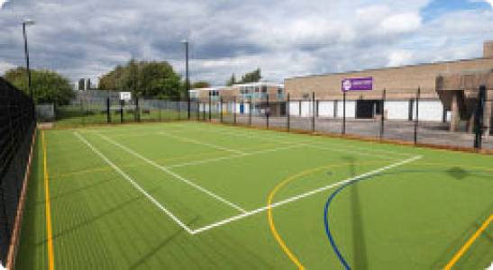 Basketball Ball Court