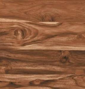 Ceramic Floor 200x900mm