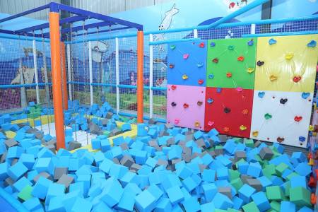 Rock Climbing Wall with Block Pit