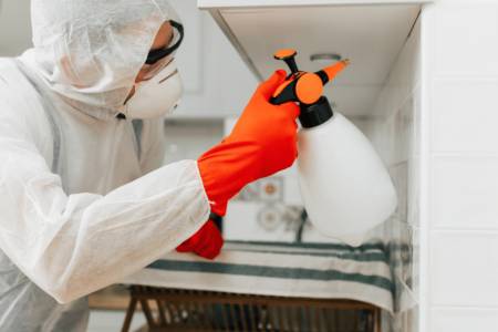 Cockroach Extermination