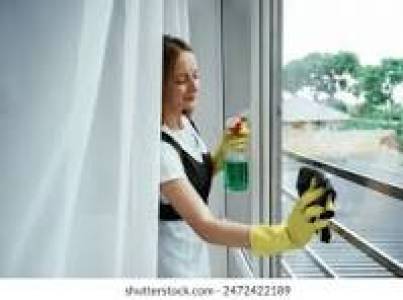WINDOW CLEANING